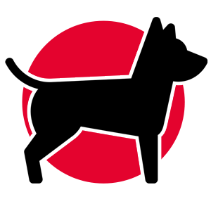 Zwierzęta