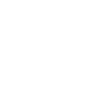 Wirus
