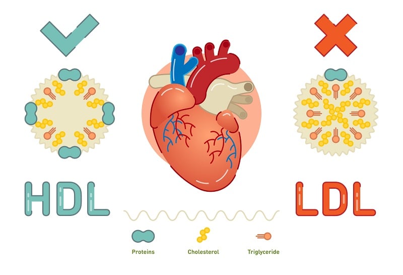 Cholesterol nie-HDL