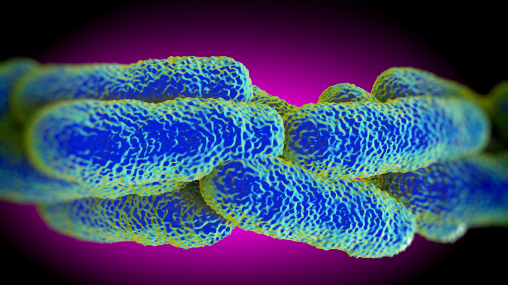 Co to jest Legionella?