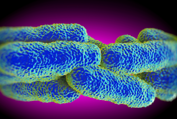 Co to jest Legionella?